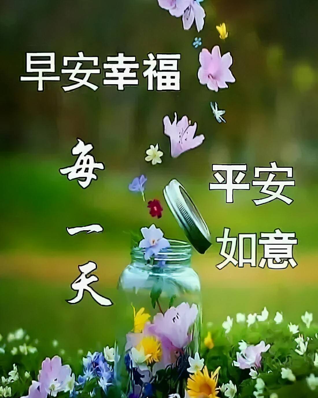 免费阅读苏桐龙御寒，一部温暖人心的故事