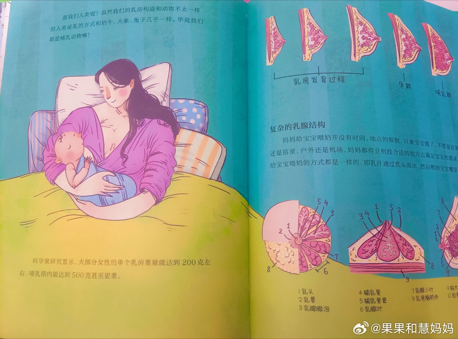 探索母乳之秘——一部关于母爱的深度小说