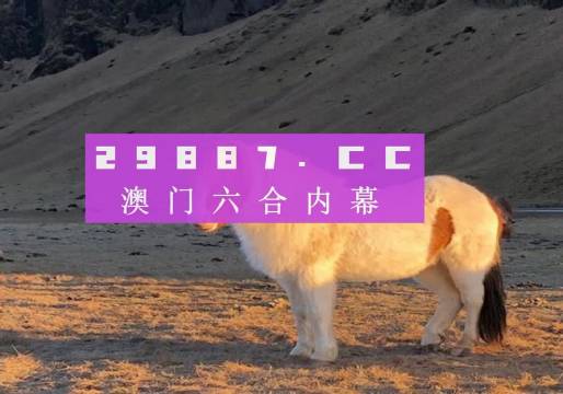 澳门49彩图库解析与探索