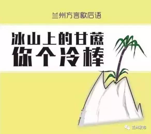 香港赛马会开奖揭秘与精彩瞬间回顾—驰骋赛道，梦想成真！