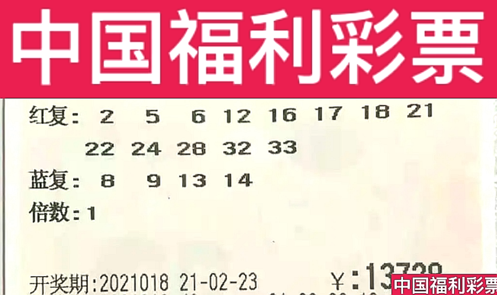 20XX年双色球开奖号码揭秘，幸运的数字组合与期待的心情交织之夜！—— 回顾与分析篇