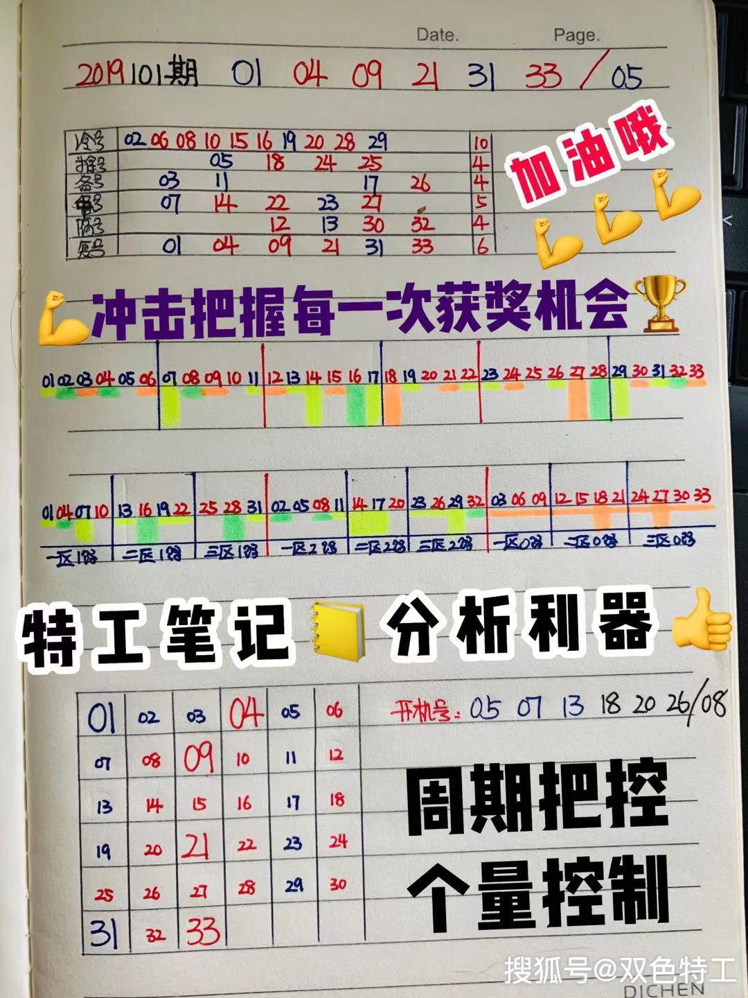 20年双色球之旅，揭秘第 41 期开奖结果，探索幸运的奥秘！——以XXXX为关键词的分析报告