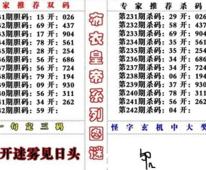 3D牛彩网字谜图解总汇九，揭秘数字背后的奥秘与乐趣之旅