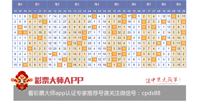 体彩31选7图表解析与投注策略