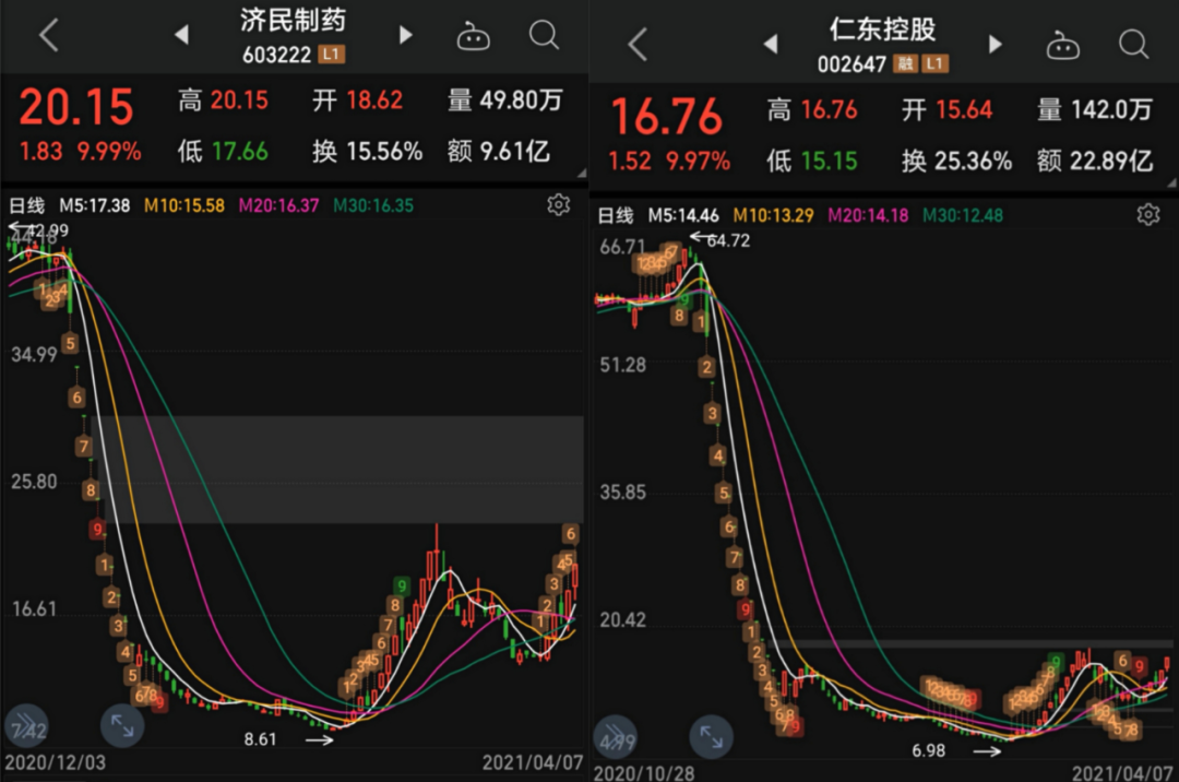 南粤风采开奖结果走势图，揭秘数字背后的趋势与奥秘