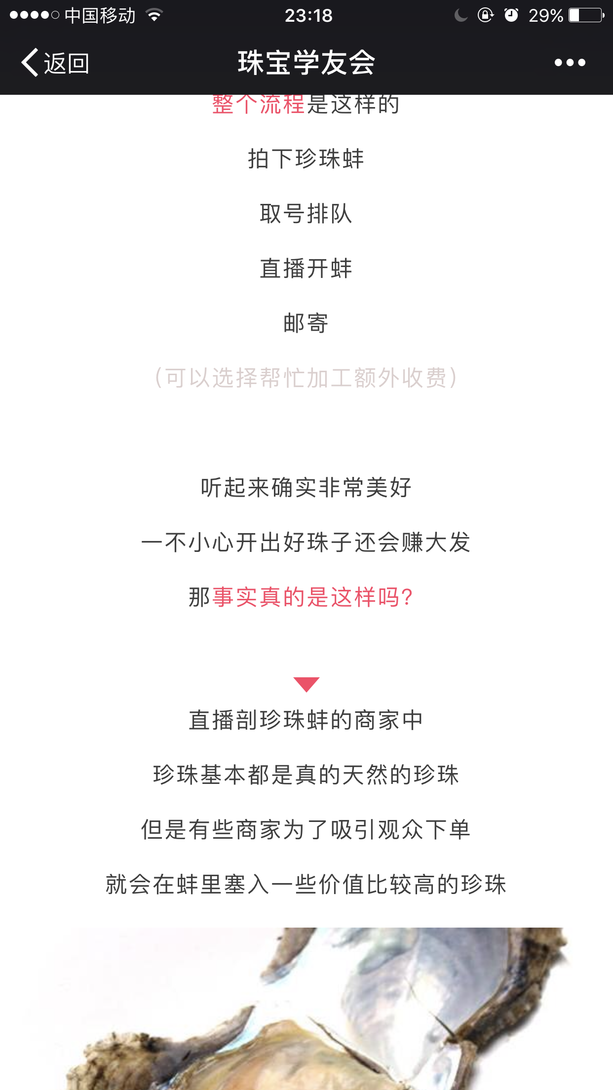 刘伯温四肖选一特，神秘预测背后的智慧与启示