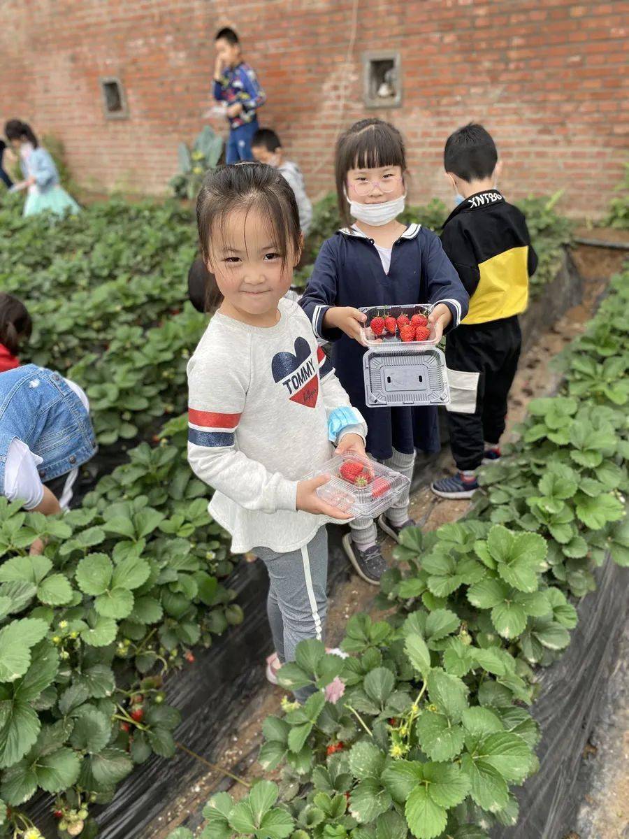 竞彩足球官方版免费下载，开启你的专业足坛之旅！—— 体验最真实的赛事与乐趣的秘诀在这里等你发现。