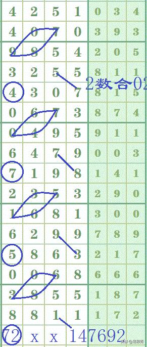 福利彩票开奖结果查询——2019年最新一期解析与回顾（附详细流程）