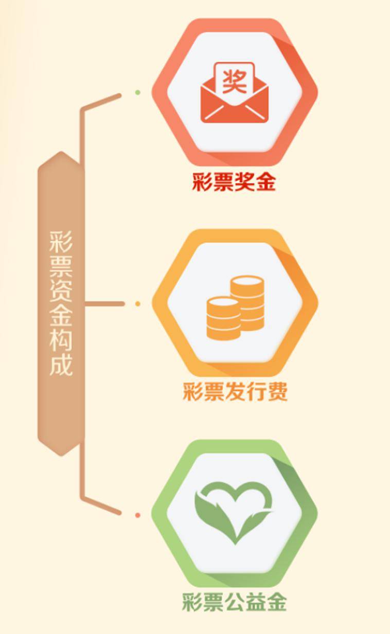 关于我们 第14页