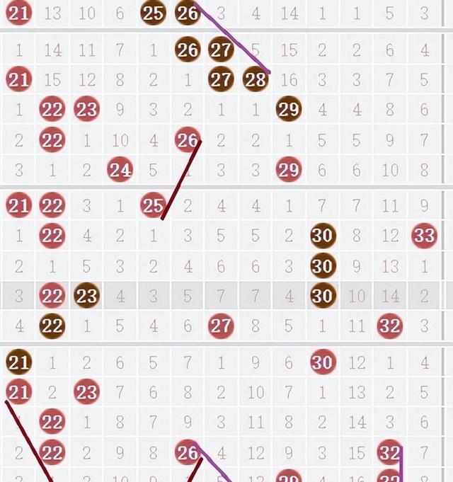 201期双色球揭秘与数字背后的奥秘