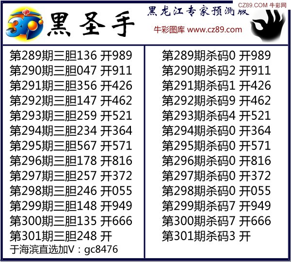 揭秘辽宁福彩3D黑圣手字谜