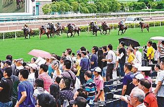 香港赛马会专业马报