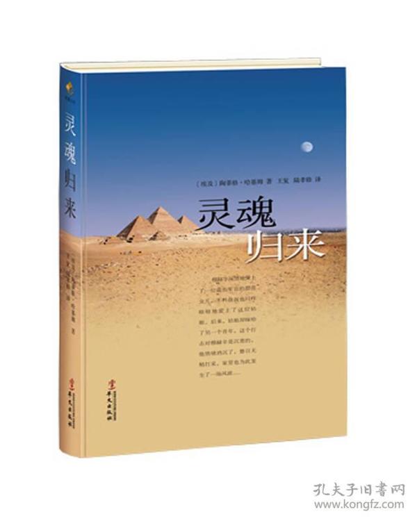 一、引言—揭开神秘的新澳门的面纱，探寻彩民心中的宝藏之地。2025新澳门天天开奖记录