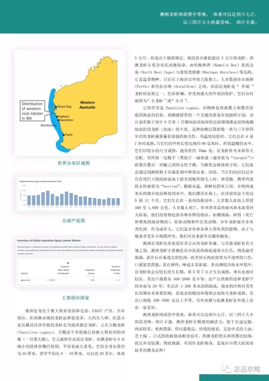 新澳203管家婆资料，探索与解读的旅程分析报告