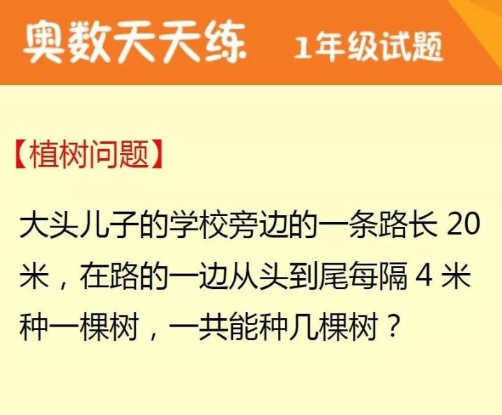 二四六天天玄机图资料探秘之旅，揭开数字背后的奥秘与启示录二四六天天玄机图资料246