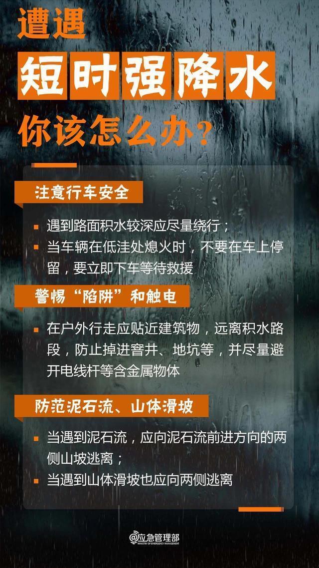 2034年新奥正版资料免费分享的全面解析与实用指南—让知识触手可及，助力您的学习之路！新澳2024年正版资料