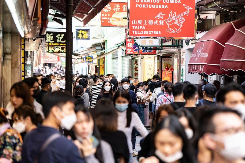 203年澳门开奖历史记录概览与回顾—探寻数字背后的奥秘之旅！2023澳门开奖历史记录查询结果