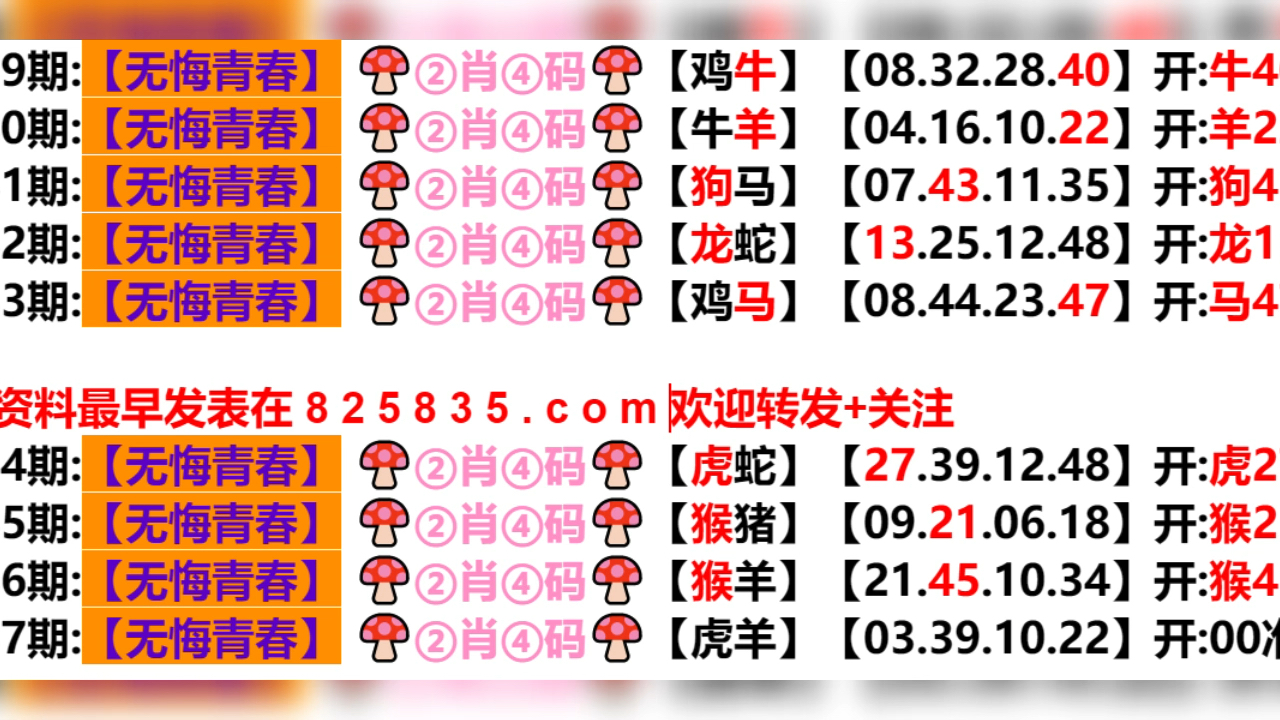 2048澳门彩种解析与每日精选指南—开启你的幸运之旅！2024新澳门天天开好彩大全孔的五伏