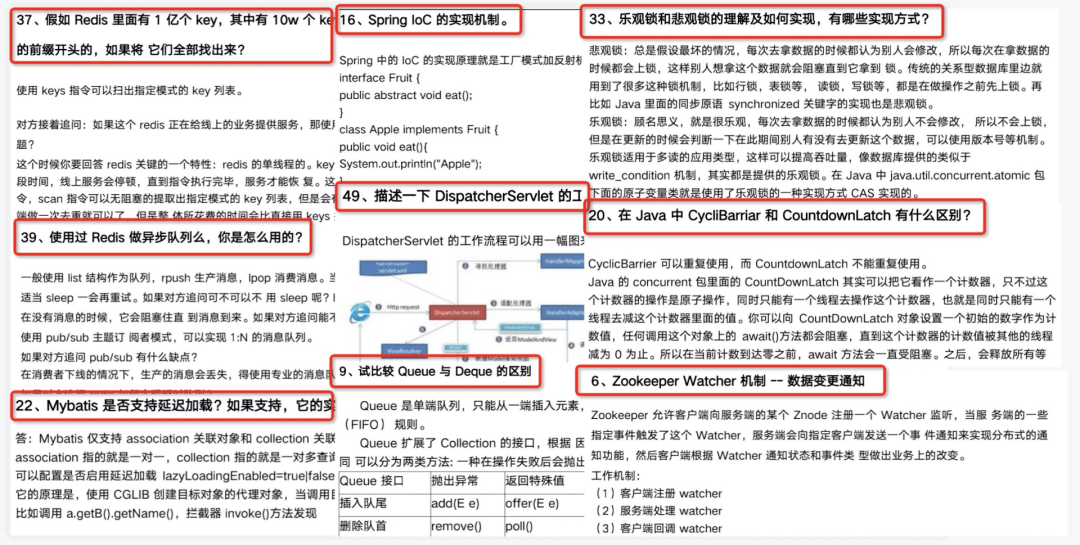 香港本港免费资料大全，全面解析与实用指南香港本港免费资料大全最新版本更新内容