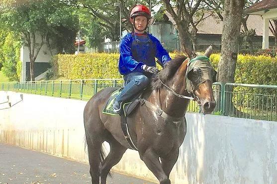 香港马会资料大全 2023年（或香港赛马的最新信息）