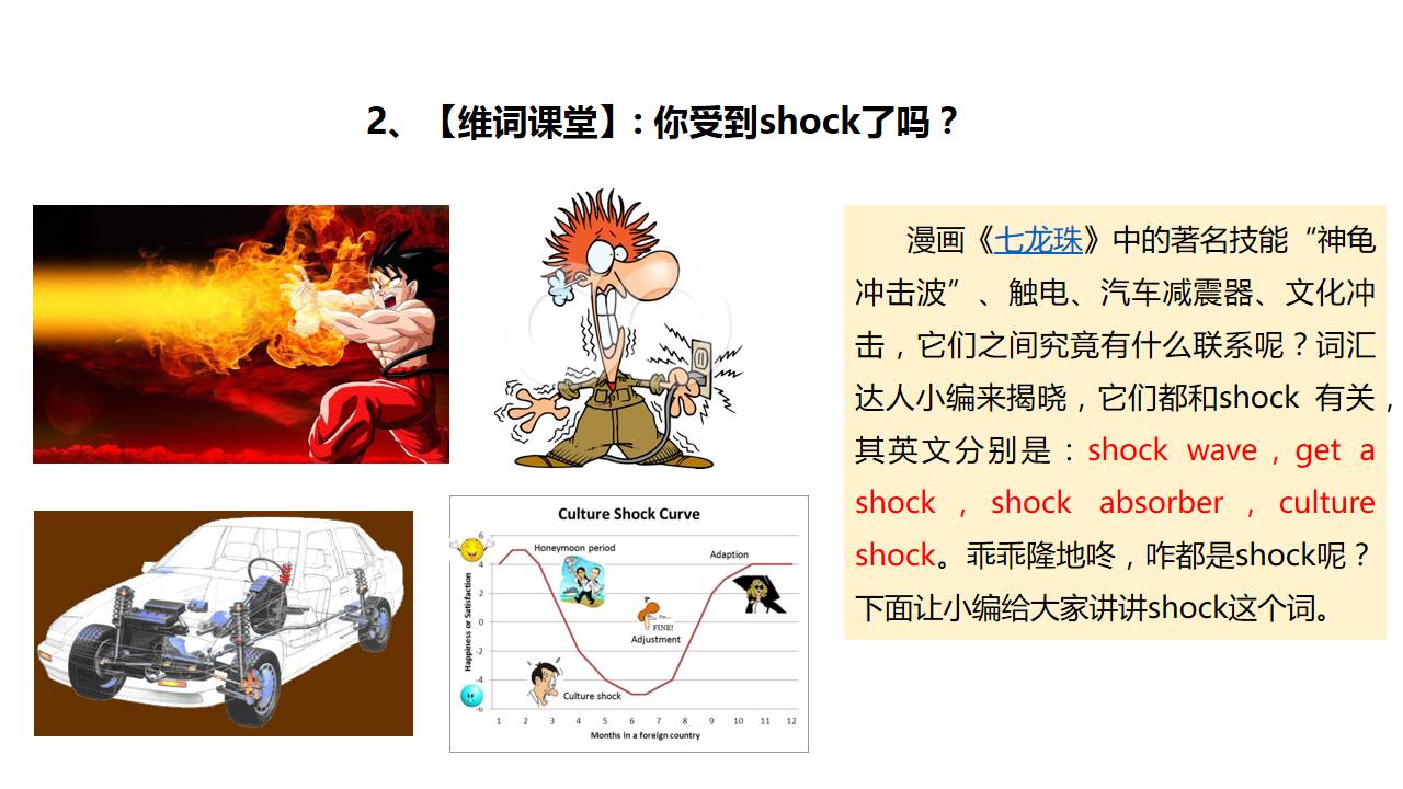 澳门码黄大仙资料大全，揭秘与解析的全面指南澳门黄大仙彩