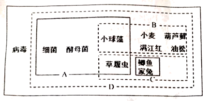 a.丰富多样的分类体系2023澳门资料大全免费完整版269期