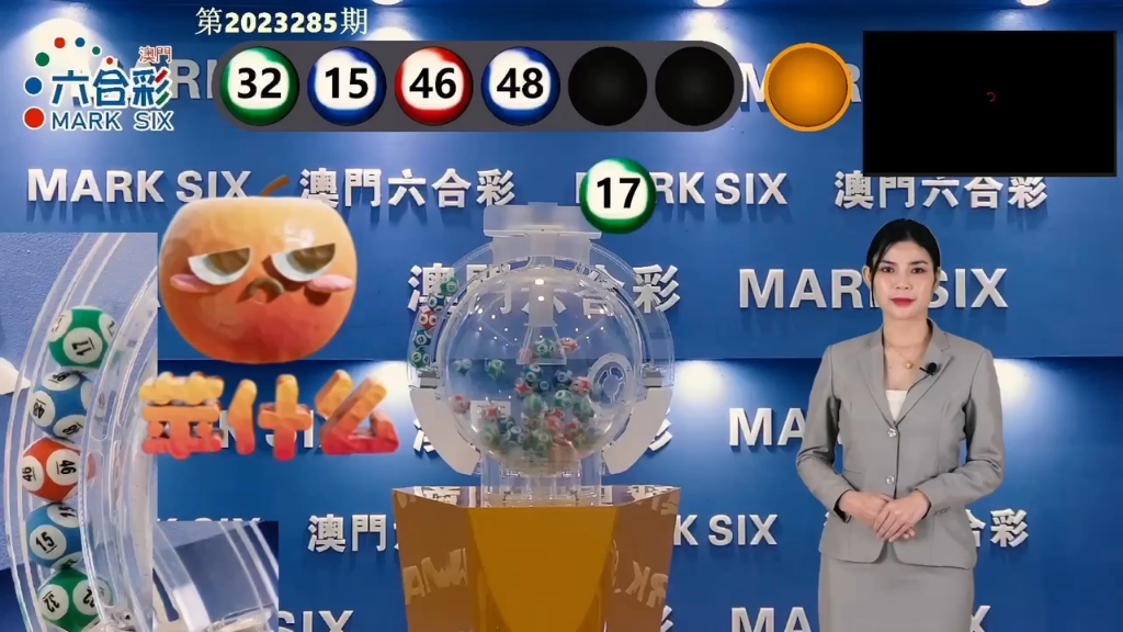 新澳门2024历史开奖记录查询表068期11号