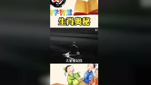 管家婆一码生肖预测，四柱之秘，揭晓未来之路的奥秘与解析—资料大全解读篇