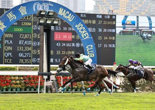 2019香港马会全年资料大全，赛驹风采与精彩瞬间回顾录香港2021年马会资料大全