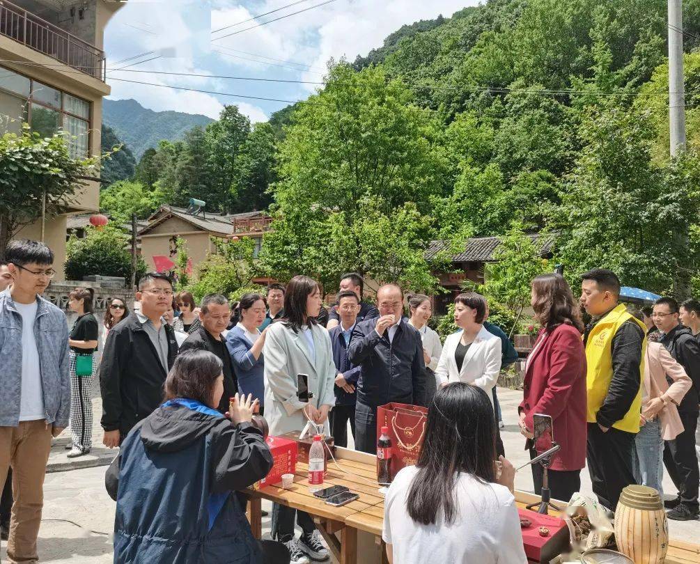 新澳门最快开奖现场直播视频免费下载指南澳门开奖直播现场全网开奖最快
