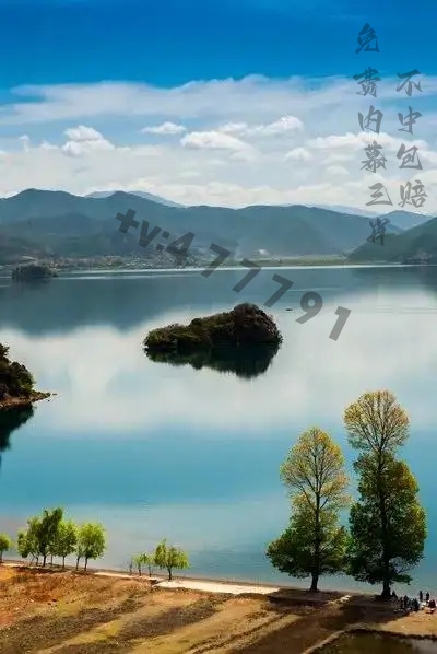 澳门开奖新动态，官方直播网站与最新一期结果揭秘新澳门开奖记录