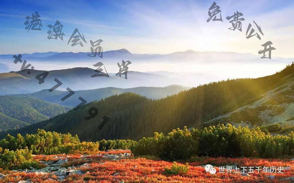 澳门开奖新动态，今晚号码揭晓，图片大全助你掌握最新结果！新澳门开奖结果2020+开奖记录_