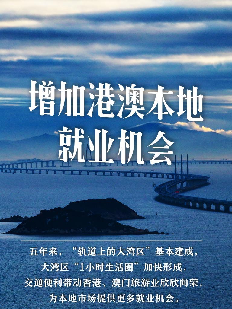 新澳门开奖直播官网—探索204年8月1日的新篇章澳门开奖直播日期表